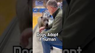 A Hopeful Day At The Adoption Event