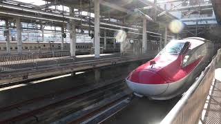 東北新幹線　はやぶさ・こまち9号　新青森・秋田行き　E5+E6系17連　大宮駅出発