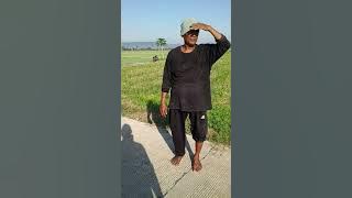 Survei tanaman bawang merah di sawah Galih gemuh Kendal Jawa Tengah