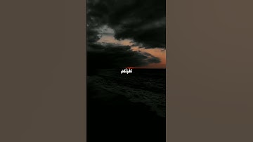 تلاوة هادئة و جميلة | القارئ : هيثم الدخين🌹 #القرآن_الكريم #هيثم_الدخين