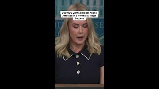 A Major Crackdown: 300,000 Criminal Illegal Aliens Arrested!
