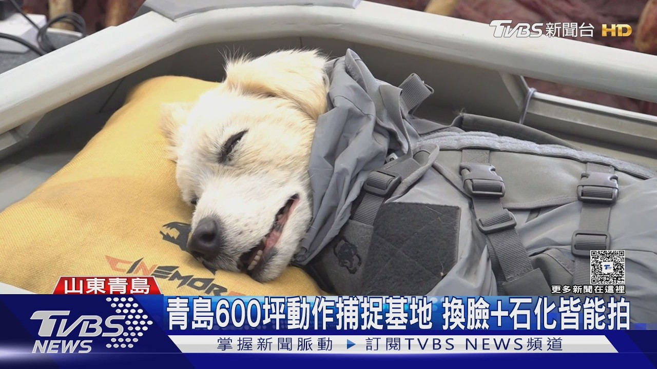 甩「五毛特效」標籤! 陸電影工業拚升級｜TVBS新聞 @TVBSNEWS01