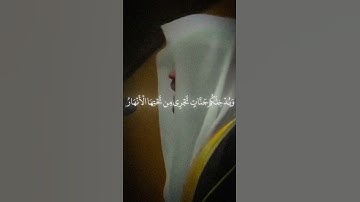ياسر الدوسري سورة التحريم الايه 8