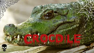 Dwarf Crocodile: Discover The Fascinating World of These Miniature Predators