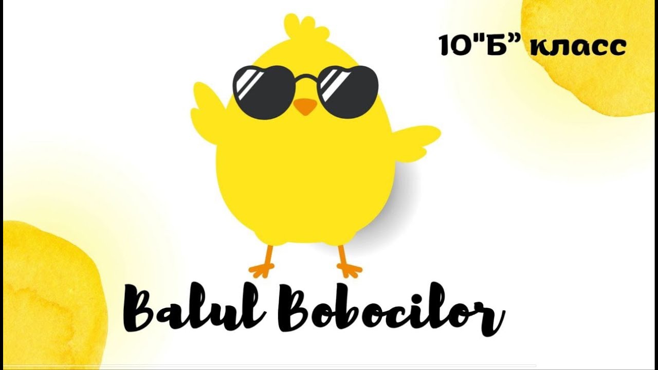 Balul Bobocilor - 10