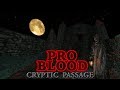 PRO BLOOD: CRYPTIC PASSAGE