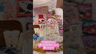 【DAISO】韓国ダイソーで爆買い【明洞】