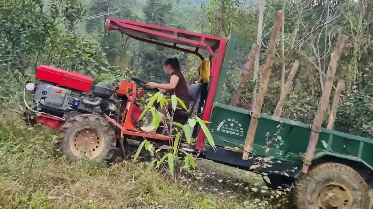 Timber Transport | Using Trucks to Haul Wood Safely & Efficiently