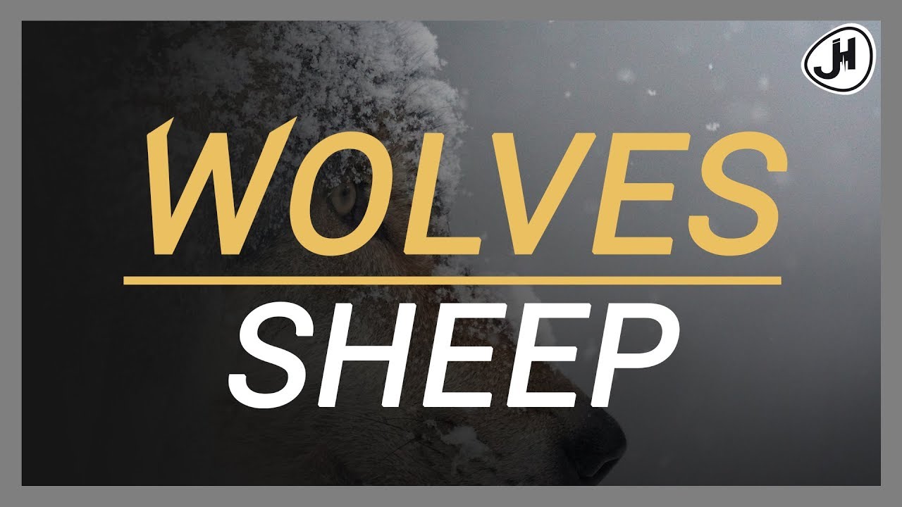 SHEEP and WOLVES - YouTube