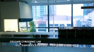 CellSafe Corporate VDO