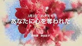 3月6日 誕生花 オオデマリ Youtube 3月6日 誕生花 オオデマリ Youtube