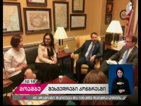 საქართველოს საპარლამენტო დელეგაციის შეხვედრები ვაშინგტონსა და ჩრდილოეთ კაროლინაში