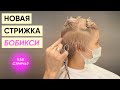 Как стричь пикси-боб (бобикси) с Кириллом Брюховецким