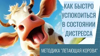 КАК БЫСТРО УСПОКОИТЬСЯ, когда вас накрыло сильными эмоциями: методика &quot;ЛЕТАЮЩАЯ КОРОВА&quot;