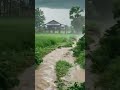 Morning Ai ❤ #rain #relax #rainsounds #peace #nature #youtubeshorts #youtube #viralvideo