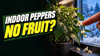 Growing Peppers Indoors: Why Some Get 2 and Others Get 40