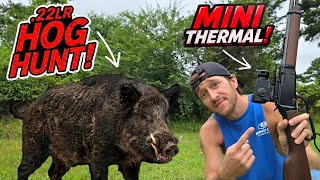 .22lr HOG HUNT! + ONELEAF MARS MINI THERMAL SCOPE CAM!  UNBOX, HUNT, REVIEW!