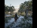 My Horse and I Wild West 🐎🌿 #rdr2