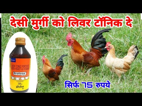 वीडियो: मुर्गियों को कितना पिपेरज़ाइन देना है?