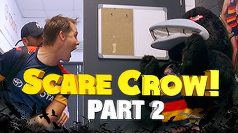 Scare Crow! Crows get pranks by Tex: Part 2