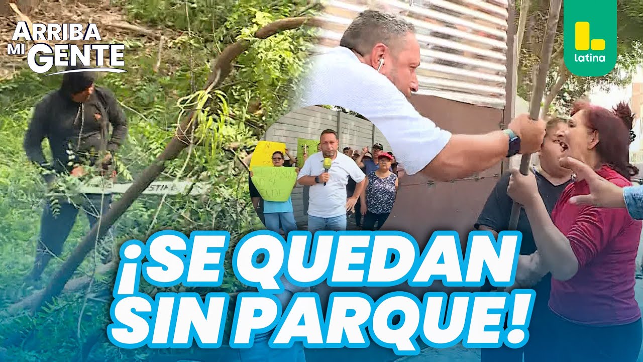 Vecinos denuncian pérdida de parque y tala de árboles en SMP | Arriba ...
