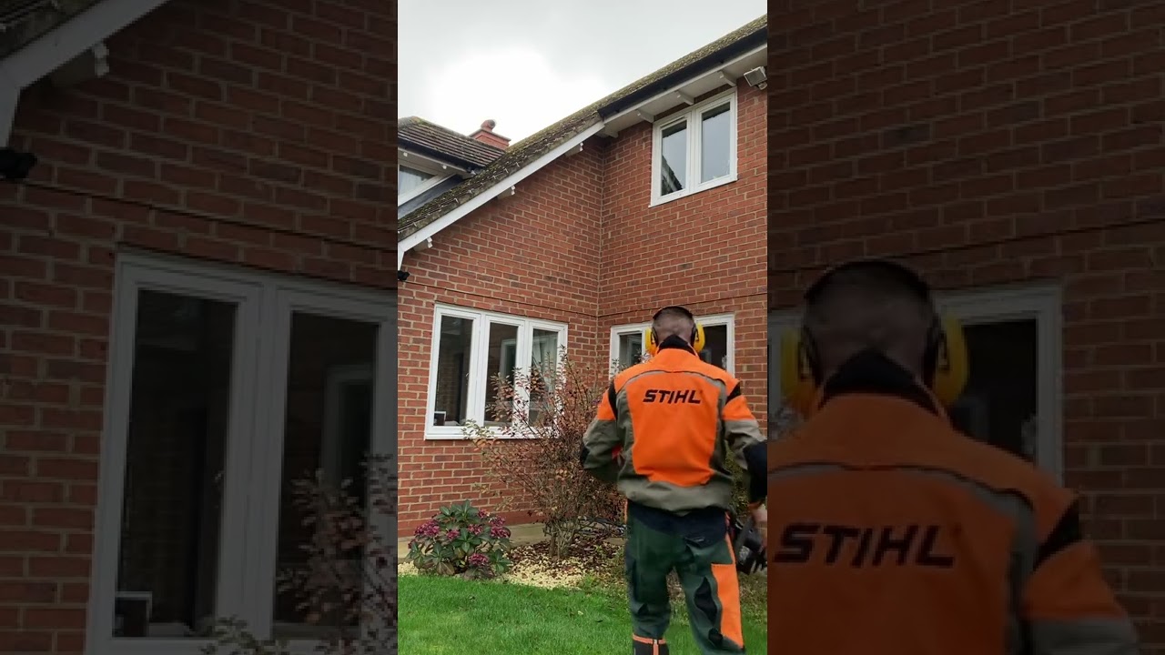 Light trim on shrubs using echo HC-2810ESR