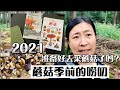 2021年欧洲蘑菇季之前的唠叨，准备工作和注意事项，好书和App推荐。采摘有风险，还是要非常谨慎