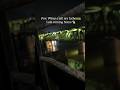 pov :- when I tell my father🖐️✋ iam coming home 🏡#viral #love #trending #like #explore #hype #father