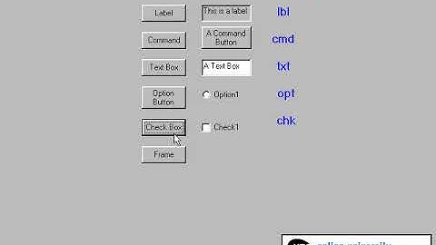 Learn Visual Basic 6 Part10: Naming Rules and conventions for controls