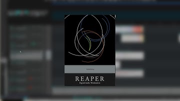 Reaper - shortcut not working when plugin is open - FIX