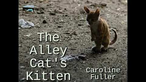 The Alley Cats Kitten by Caroline Fuller read by V...
