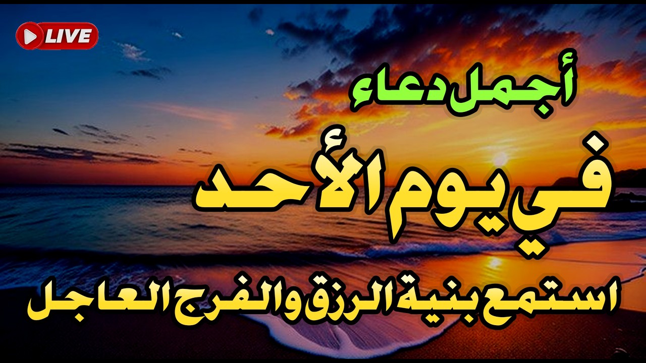 قراءة مؤثرة دورة واحدة قد تجلب لك الثروة