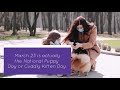 Special Day For Puppy & Kitten