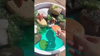 Build a Rock Pool #learnthroughplay #sensoryplayideas #playbasedlearning #sensoryplay