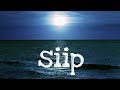 Siip piano cover