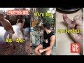 [Fx외환거래] 자동매매 시뮬레이션을 돌려보자! - YouTube