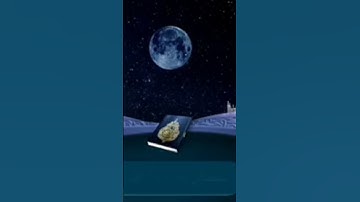 سورة المسد بصوت القارئ فارس عباد