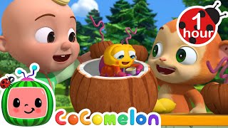 The Itsy Bitsy Spider 🕷️CoComelon JJ's Animal Time | Nursery Rhymes & Kids Songs | After School Club