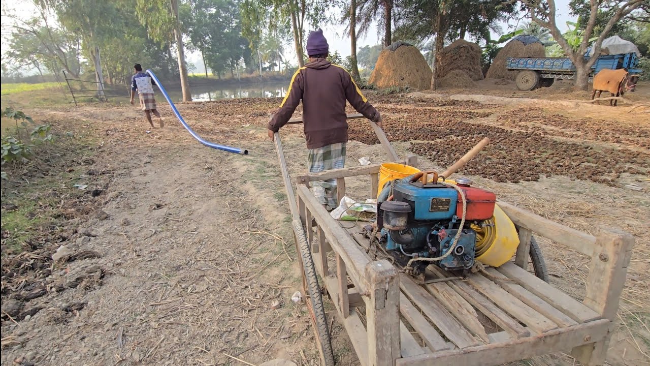 শ্যালো মেশিন দিয়ে কত কষ্ট করে বিচনে জল দিলাম।Mr Sajedar