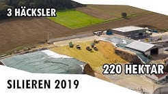 Maisernte Bayern 2019 HD