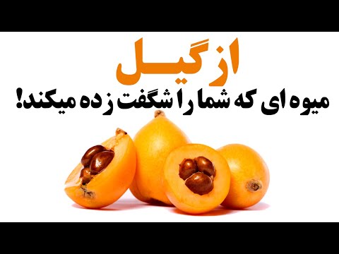 تصویری: آیا برگهای ازگیل خوراکی هستند؟