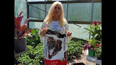 Creating a container garden with Lori McDaniel at ...
