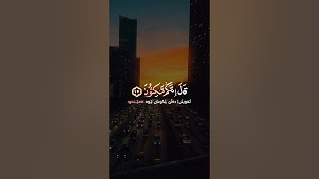 سورة الزخرف – الآية ٧٧-٧٨ | القارئ إدريس أبكر