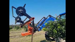 Macadamia Pruner