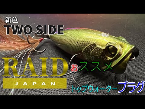 RAID トップウォーター ルアー 15個セット 新色 TWO SIDE！釣れるわ～コレ釣れるわ～ - YouTube
