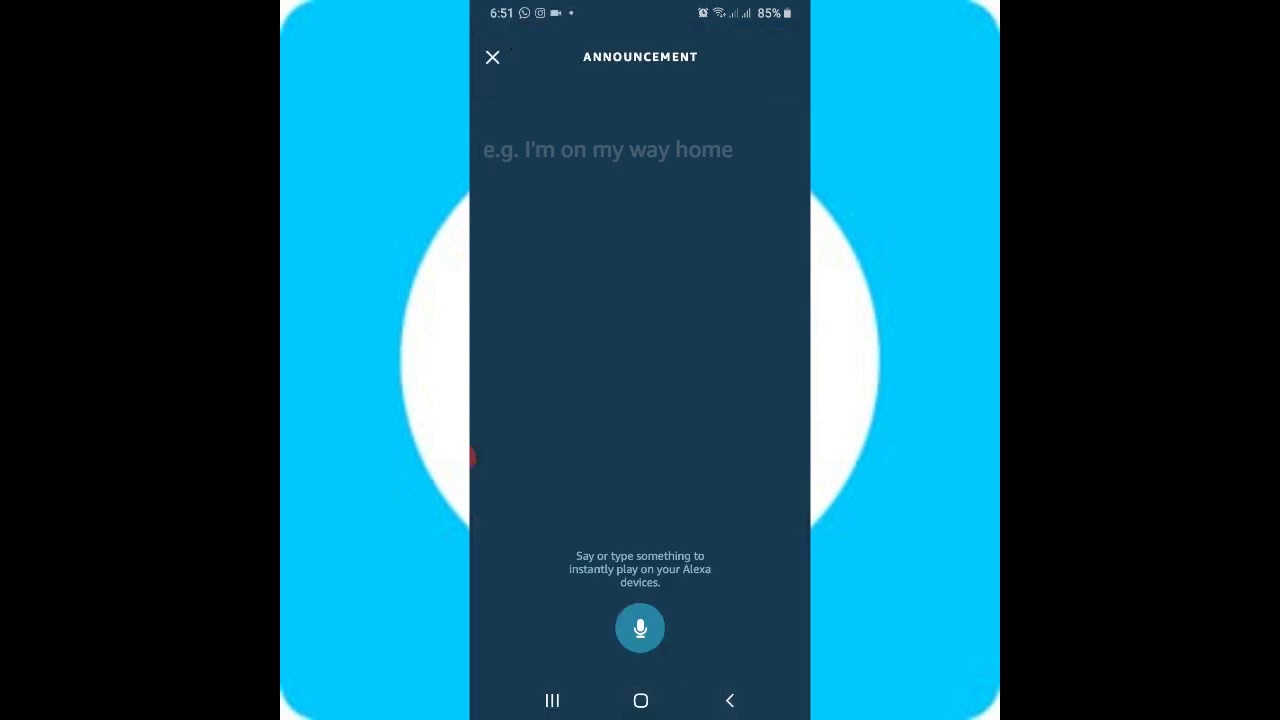 How to use the Alexa App . - YouTube