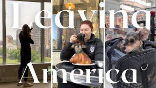 Moving to London with a Dog | How I Moved from America to the UK