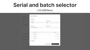 Serial and batch selector | ERPNext v15
