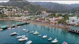 Discover Natural Wonders on Catalina Island | Thrillist Explorers by Thrillist 1,762 views 6 months ago 3 minutes, 43 seconds