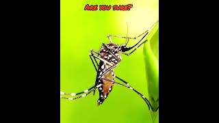 THE BEST VILLAN🦟 🤯#edit #mosquito #short